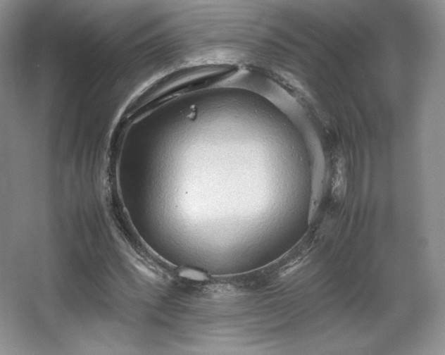 X0000067830392200604171132