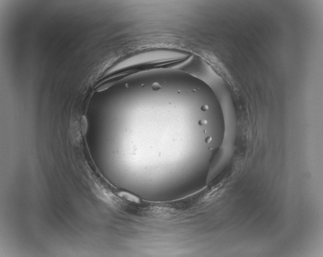 X0000067830393200604171132