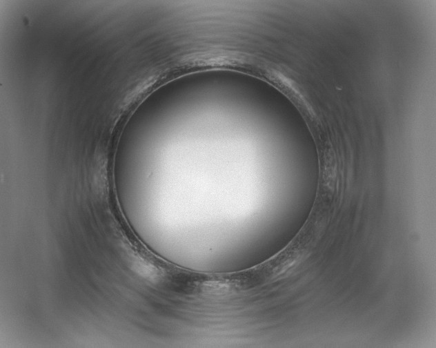 X0000067830394200604171132