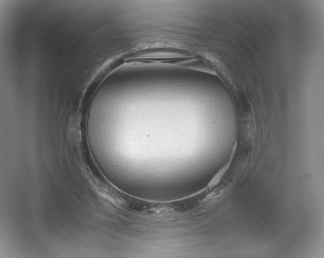 X0000067830395200604171132