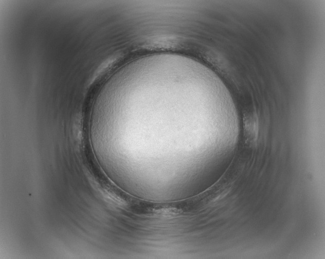 X0000067830396200604171132