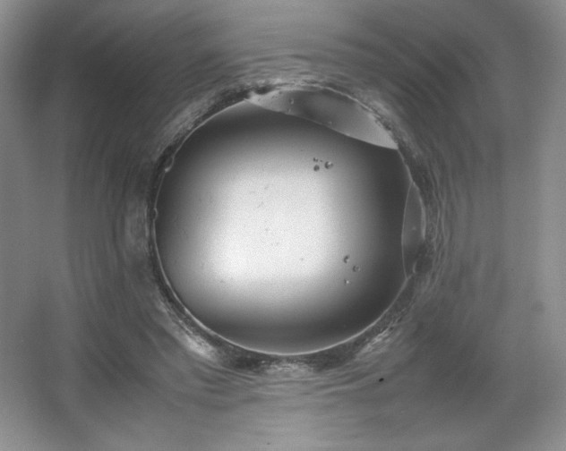 X0000067830397200604171132