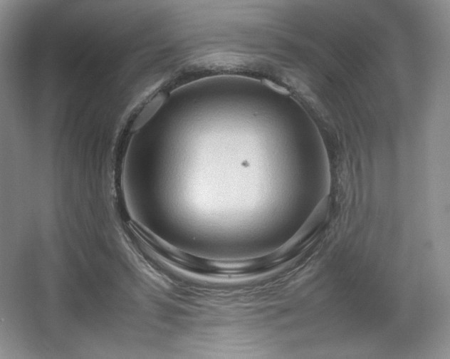 X0000067830399200604171132