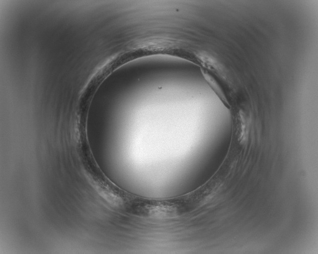 X0000067830400200604171132