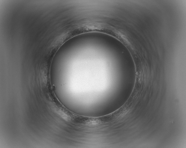 X0000067830402200604171132