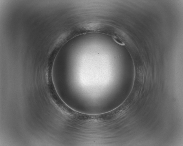 X0000067830404200604171132