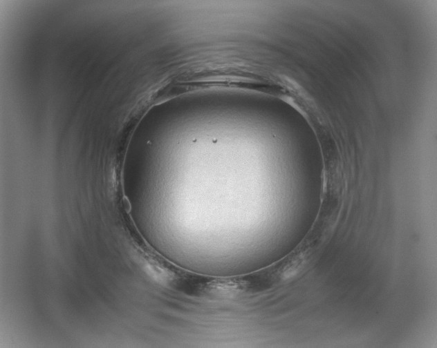 X0000067830405200604171132