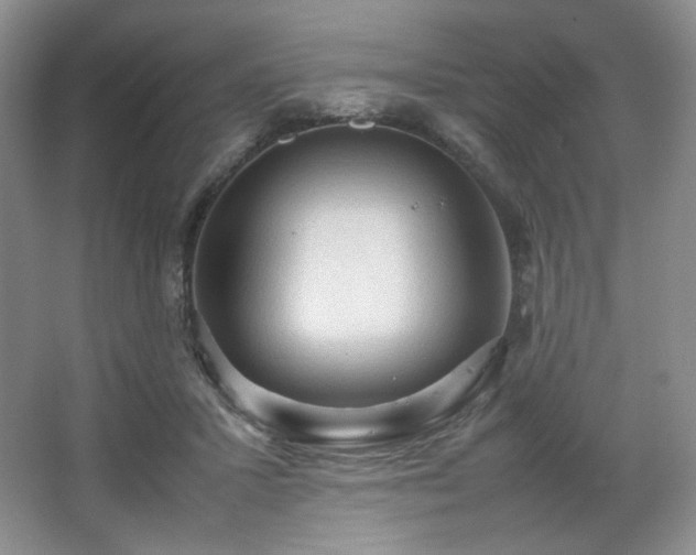 X0000067830407200604171132