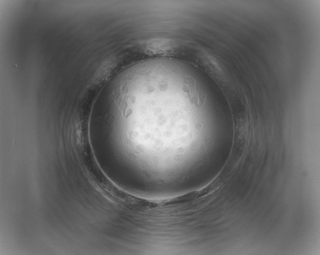 X0000067830408200604171132