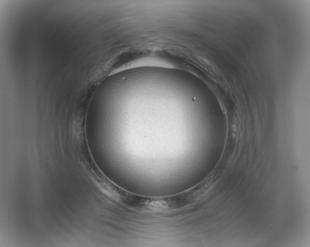 X0000067830409200604171132