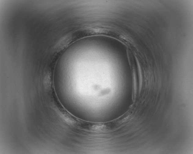 X0000067830410200604171132