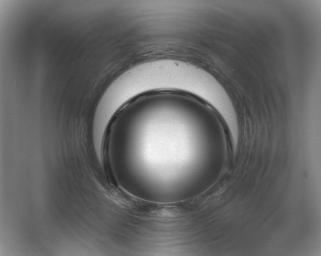 X0000067830412200604171132