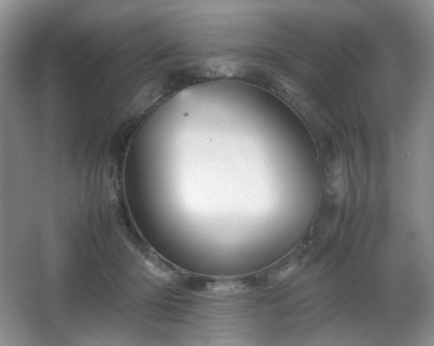 X0000067830414200604171132