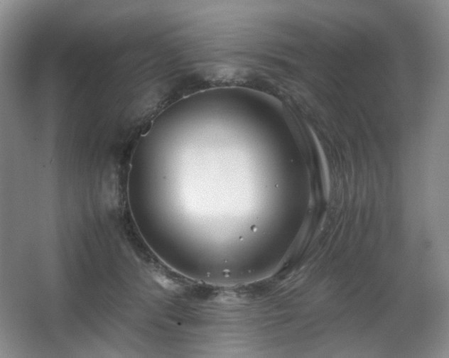 X0000067830416200604171132