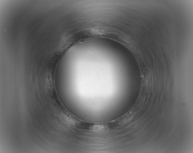 X0000067830418200604171132