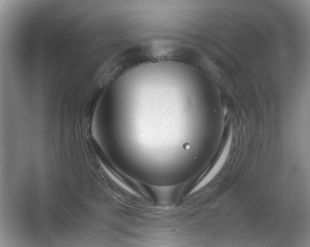 X0000067830421200604171132