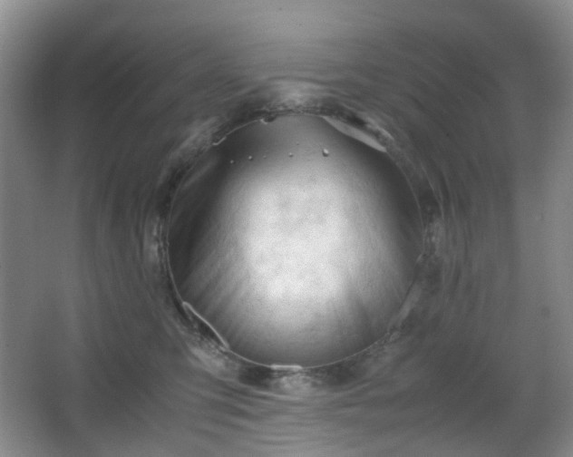 X0000067830423200604171132