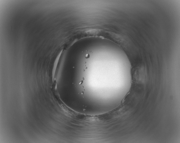 X0000067830424200604171132