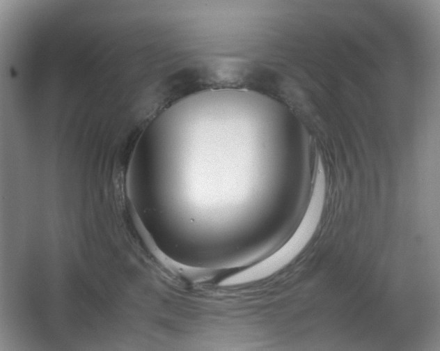 X0000067830425200604171132