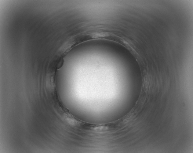 X0000067830426200604171132