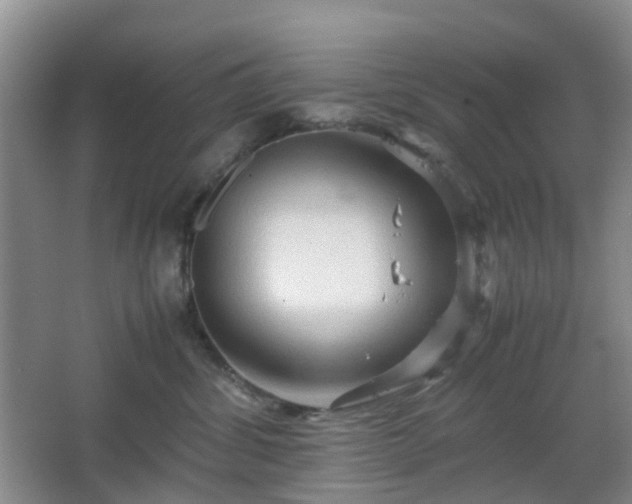 X0000067830428200604171132