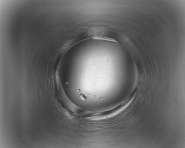 X0000067830429200604171132