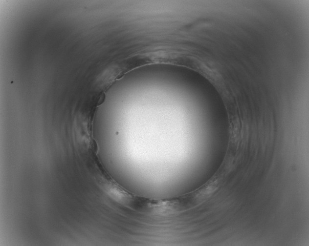 X0000067830430200604171132