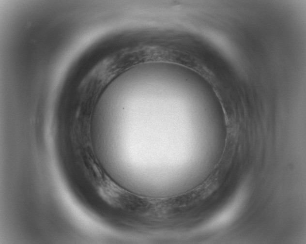 X0000067830431200604171132