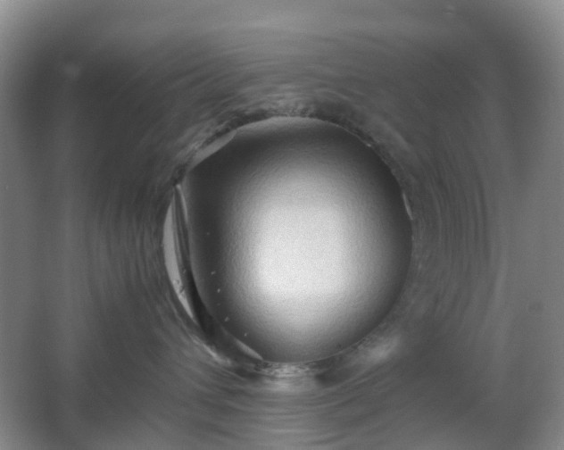 X0000067830432200604171132