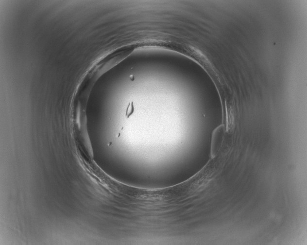 X0000067830435200604171131