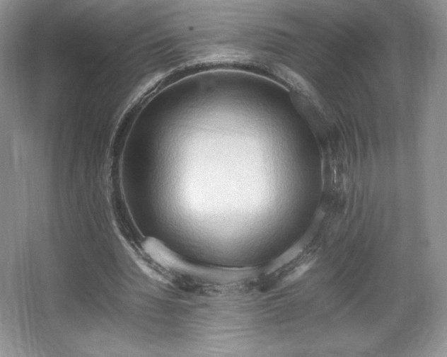 X0000067830436200604171131