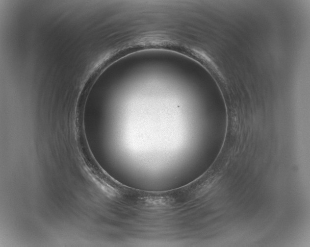 X0000067830439200604171131