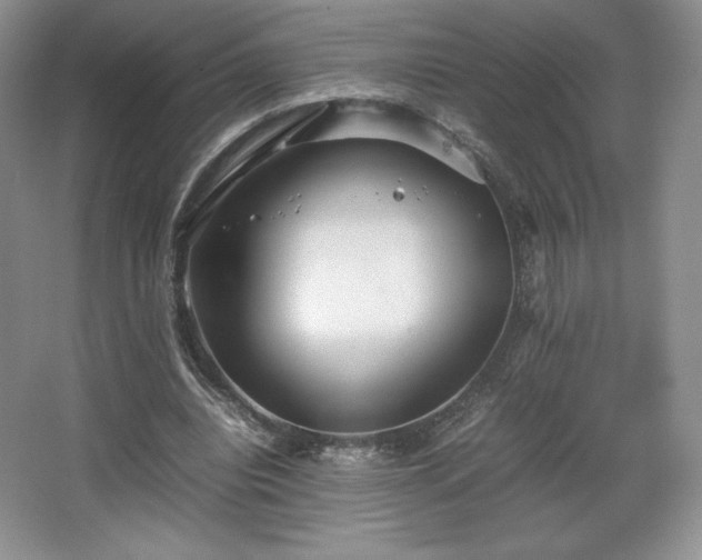 X0000067830440200604171131