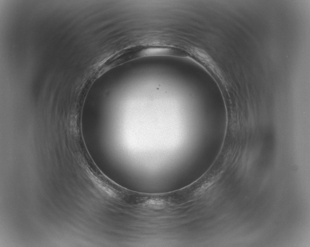 X0000067830441200604171131