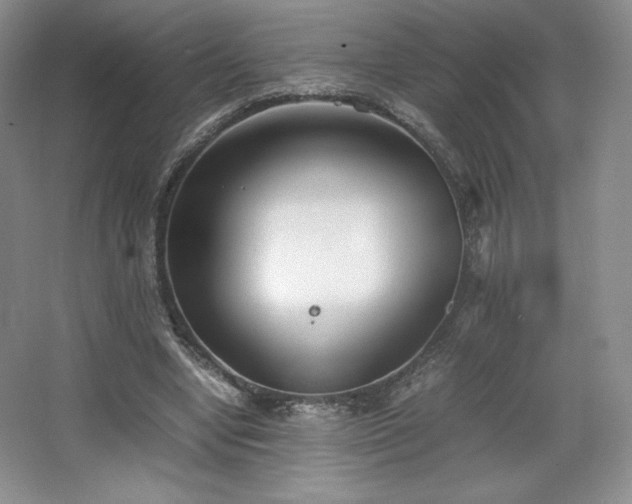 X0000067830442200604171131