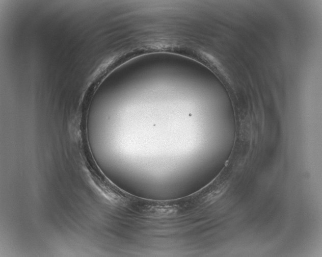 X0000067830443200604171131