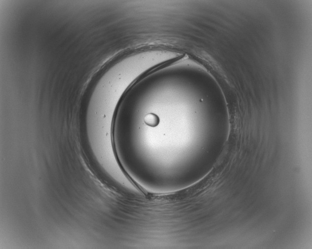 X0000067830444200604171131