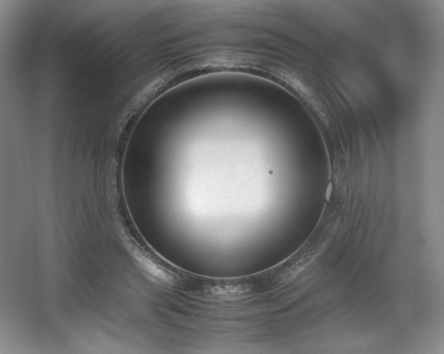 X0000067830445200604171131