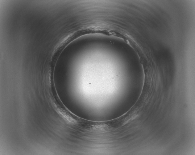 X0000067830446200604171131