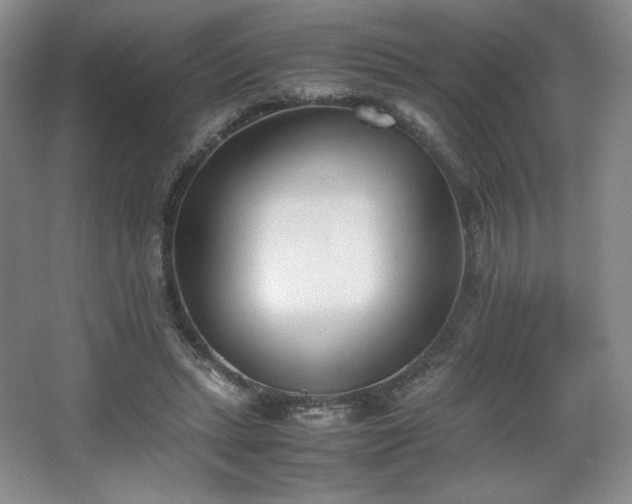 X0000067830447200604171131