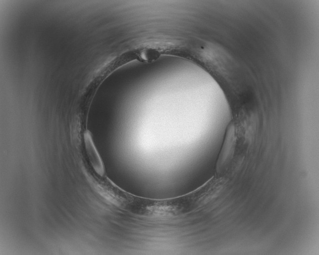 X0000067830448200604171131