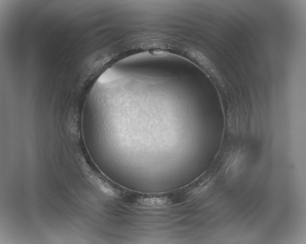 X0000067830449200604171131