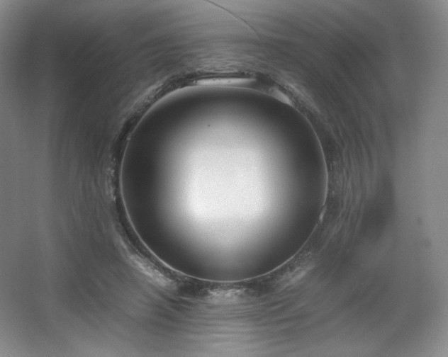 X0000067830450200604171131