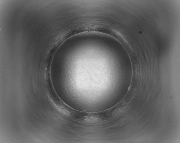 X0000067830451200604171131