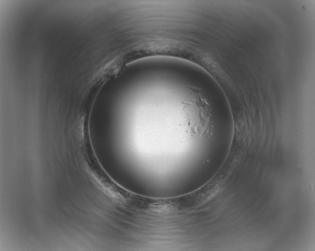 X0000067830454200604171131