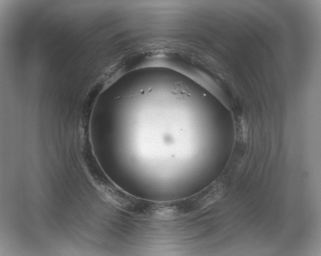 X0000067830456200604171131