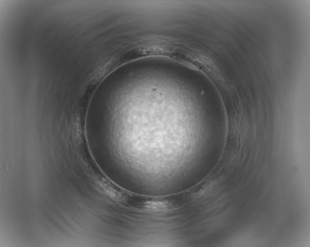 X0000067830457200604171131