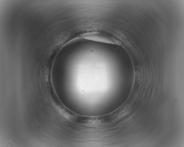 X0000067830458200604171131