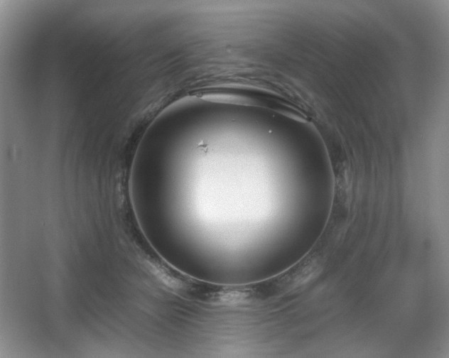 X0000067830462200604171131