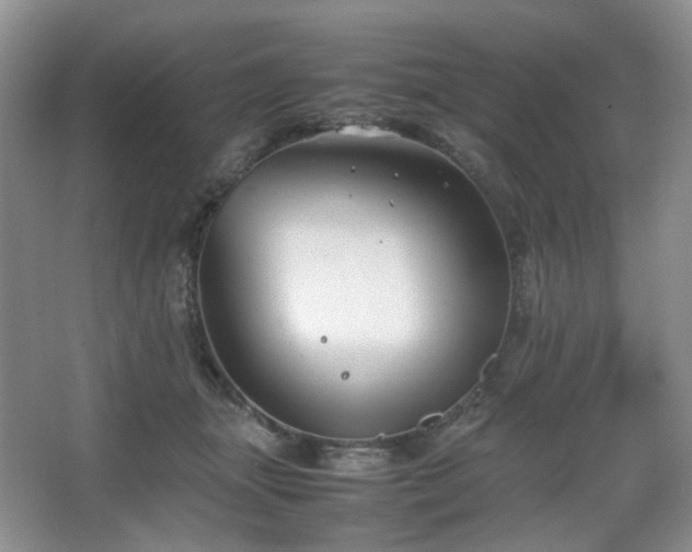 X0000067830463200604171131